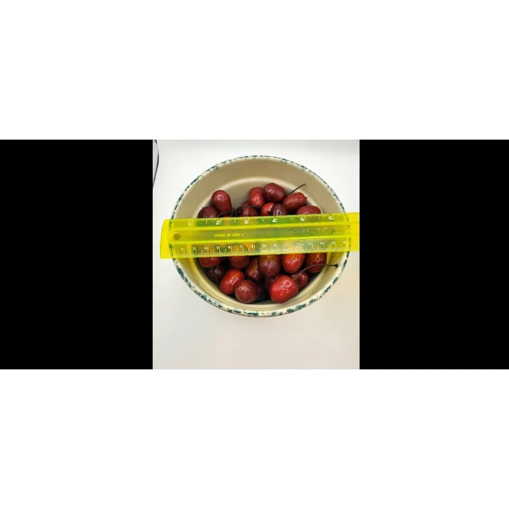 1995, Small Mixing Bowl